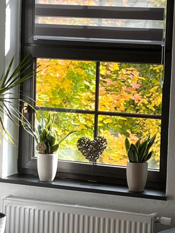 City Park Loft Münchberg المظهر الخارجي الصورة